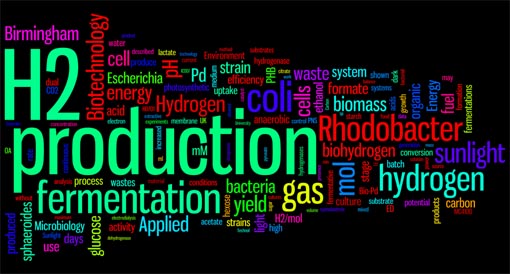 Bio-hydrogen publication word cloud, created in 2012 using Wordle