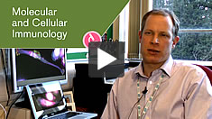 Molecular and Cellular Immunology video