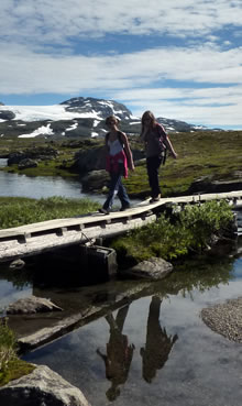 Biosciences field trip Arctic Norway