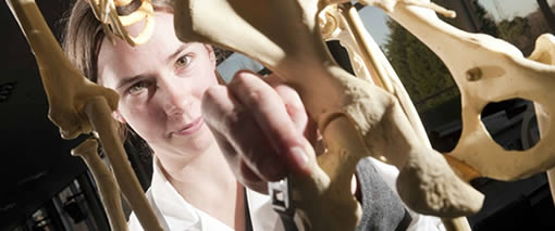 Image for Human Biology MSci