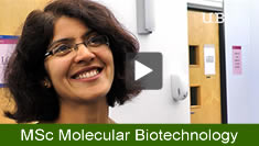MSc Molecular Biotechnology