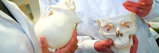 Natural Sciences skulls