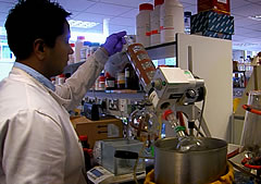 toxicology msc student