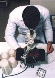 using-microscope