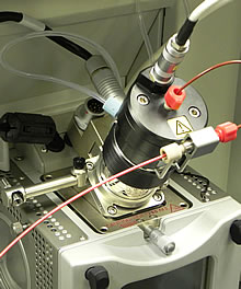 Triple Quadrupole mass spectrometer