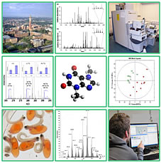 metabolomics