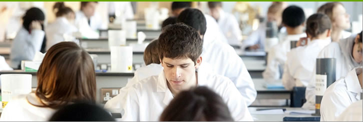 Undergraduate students in Biosciences teaching laboratory