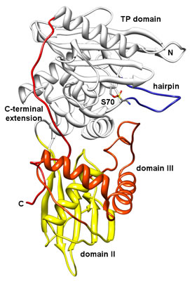 PlosPath