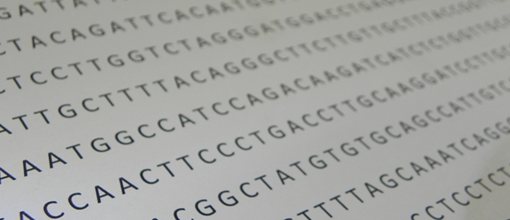 DNE nucleotide sequence