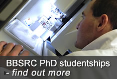 BBSRC PhD studentships - find out more