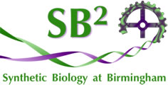Synthetic Biology at Birmingham