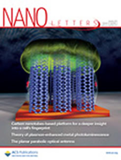 Journal cover illustrating vertically aligned single walled carbon nanotubes for sensing of eukaryotic cells