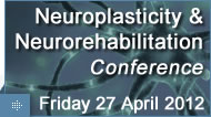 Neuroplasticity and Neurorehabilitation conference
