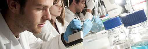 Research in the School of Sport and Exercise Sciences