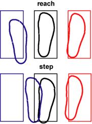 Effect of balance constraints upon rapid stepping responses