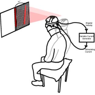 Vestibular feedback control of voluntary movement