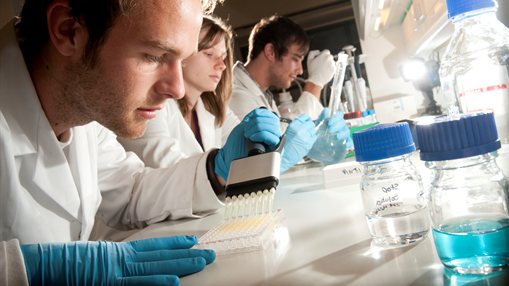 Students in laboratory