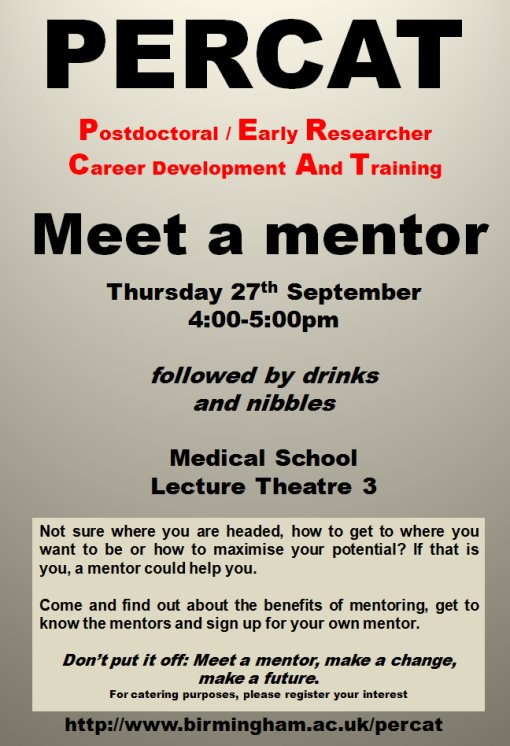 Meet a mentor poster