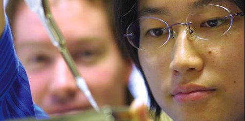 Immunity and Infection Research