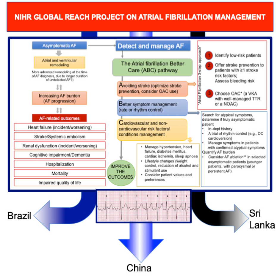NIHR Global Reach Project on Atrial Fibrillation Management flowchart as detailed above