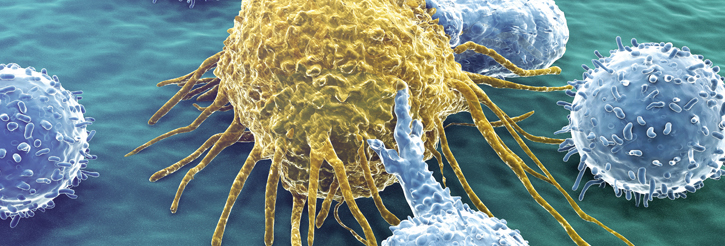 New for 2013 – MRes Cancer Sciences