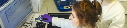 Postgraduate research in the School of Cancer Sciences