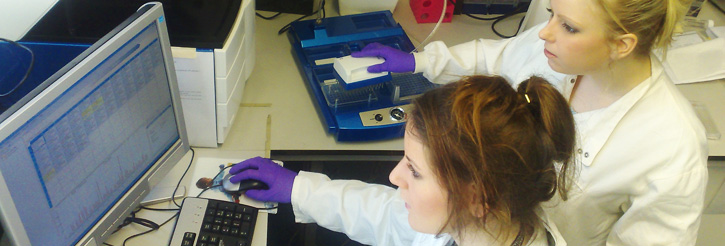 Postgraduate research in the School of Cancer Sciences