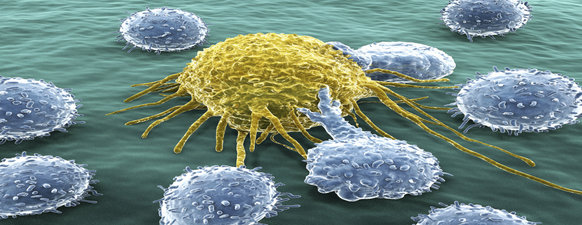 Cancer cells