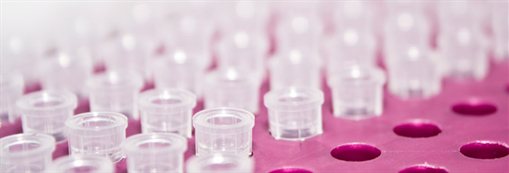 Birmingham University Stem Cell Centre