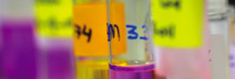 Research in the College of Medical and Dental Sciences