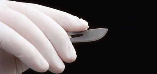 Image for Functional and Clinical Anatomy MSc 