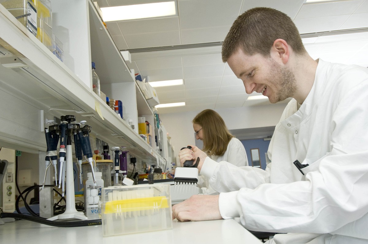 Image for Medicine PhD/MD/MSc by Research