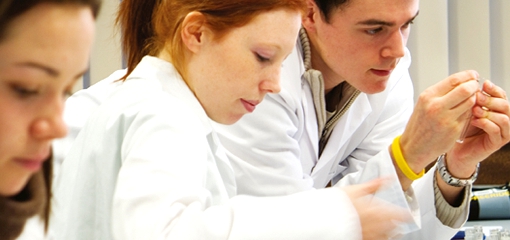 Postgraduate medical students