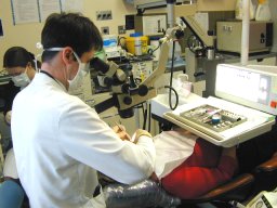 Clinical research application - endontics