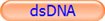dsDNA