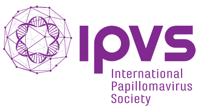 IPVS Sponsor Logo