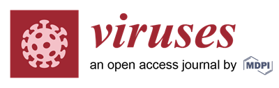 viruses_partnership