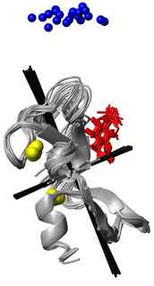FYVE domain protein
