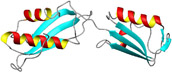 Porta domain protein