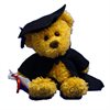 graduation-bear
