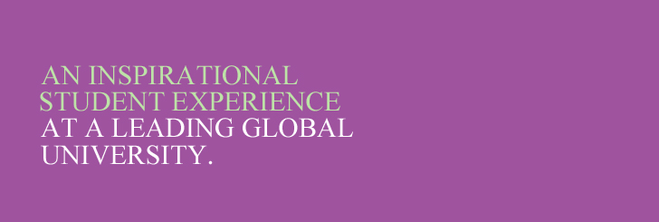 Department of Political Science and International Studies (POLSIS) enhancing your student experience