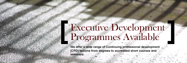 Executive Development Programmes Available at INLOGOV