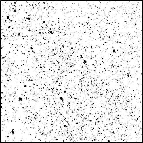 Particle-sizer-eg1
