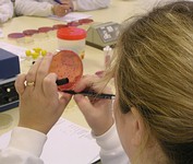 Food safety - bacterial count
