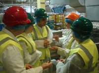 Food safety - factory visit