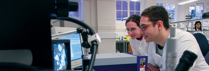 Chemical Engineering postgraduate degrees