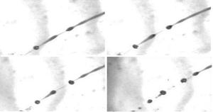 jetsgraph