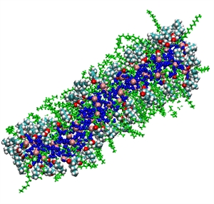 graphic illustrating NMR and Molecular Dynamics Study of the Size, Shape, and Composition of Reverse Micelles in a Cetyltrimethylammonium Bromide (CTAB)/n-Hexane/Pentanol/Water Microemulsion
