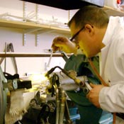 School of Chemistry glassblowing service