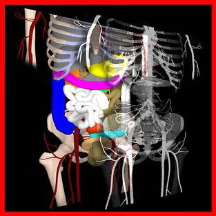 Medical simulation and imaging